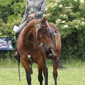 Pepper, American Quarter Horse - a combined McTimoney & veterinary approach achieves successful outcome