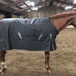 A preliminary study investigating the effect of rug-wearing on measured stride length in horses
